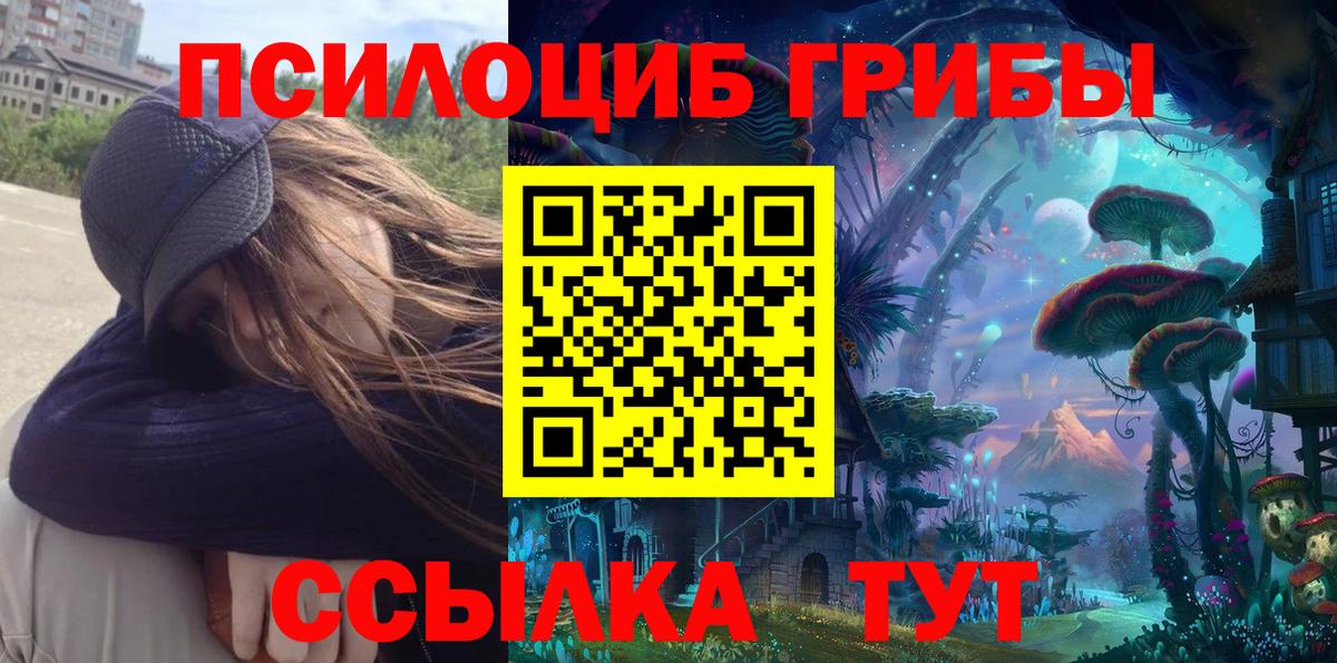 Псилоцибиновые грибы Psilocybe Тулун