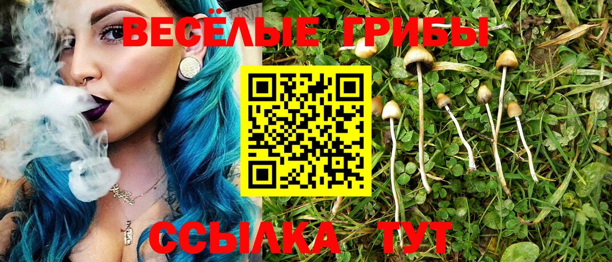 Псилоцибиновые грибы прущие грибы  Вход с VPN  Тулун 